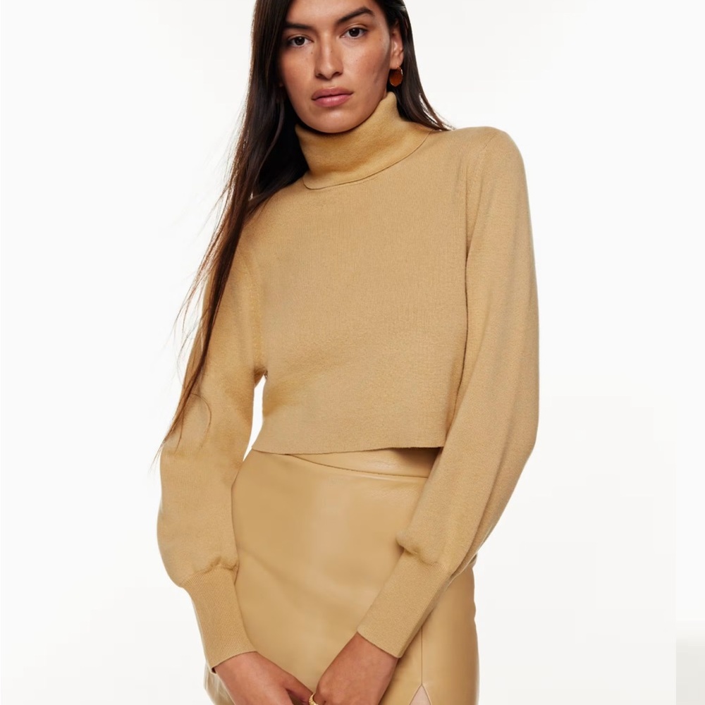 ARITZIA Wilfred Rebecca Sweater